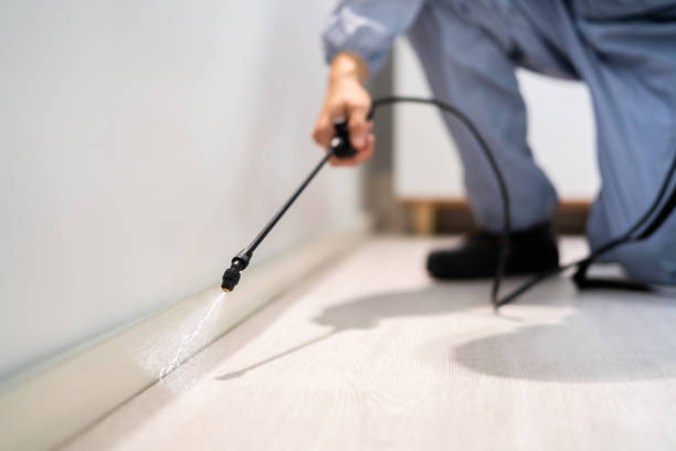 Licensed Pest Control service in Leawood, KS - Show Me Pest Control