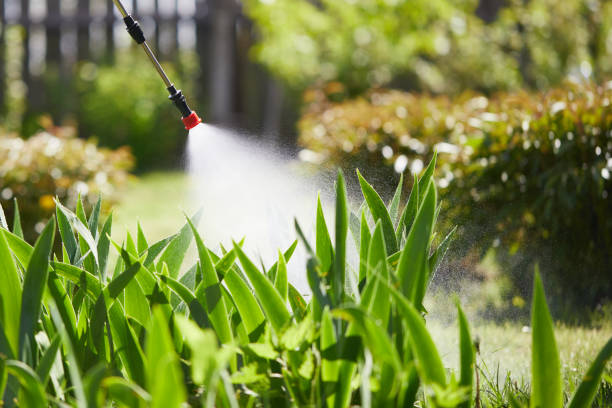 Tamper-Resistant Bait Stations for Rodents in Leawood
