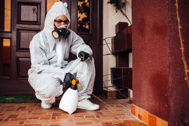 Attic and Crawl Space Rodent Treatment in Leawood