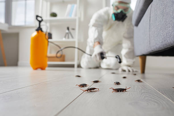 Commercial Rodent Management in Leawood